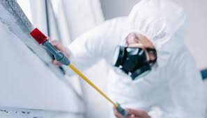 Best Fumigation Services  in El Jebel, CO